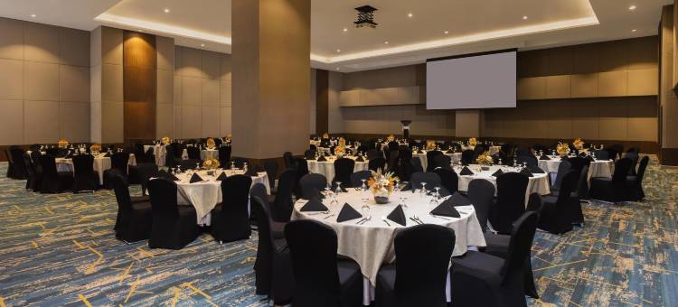 北艾莎丽柏酒店(Park Inn by Radisson North EDSA)图片