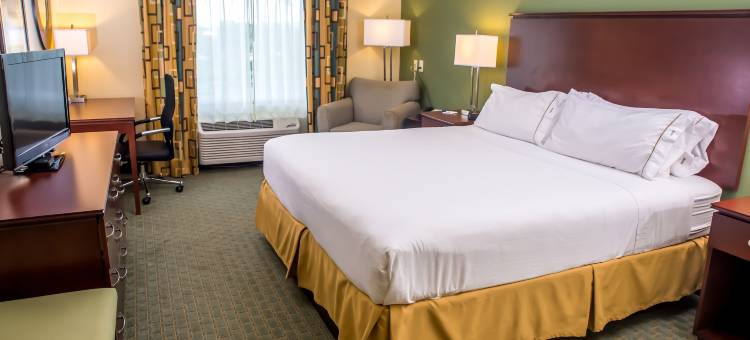 智选假日套房酒店可可(Holiday Inn Express & Suites Cocoa)图片