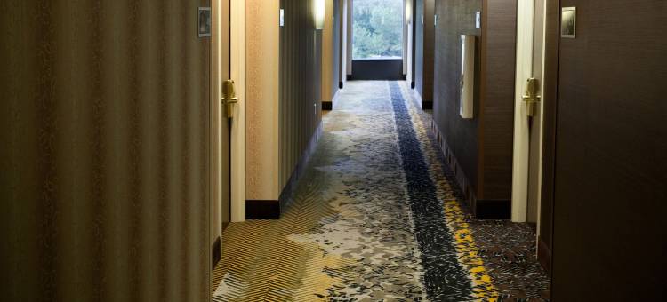 希尔顿欢朋酒店-卡罗尔顿(Hampton Inn Carrollton)图片