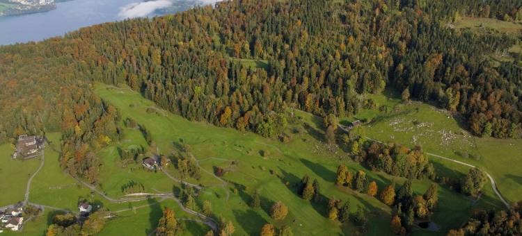 Bürgenstock·1879小酒馆度假村(Bürgenstock Hotels & Resort - Taverne 1879)图片