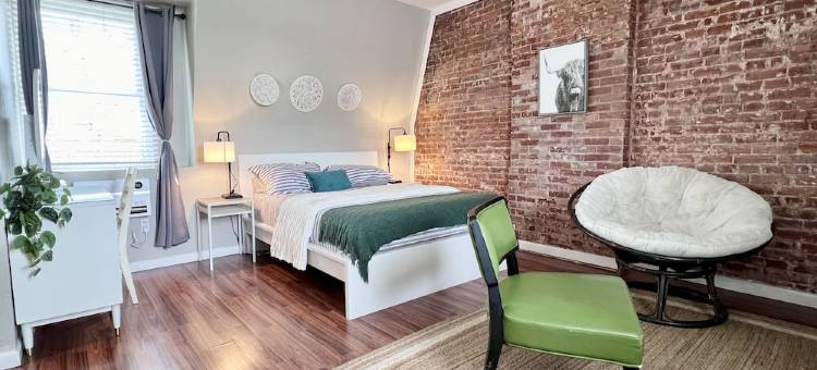 Tower Grove 3rd Floor Studio - 4mi to SLU & Barnes - Shared Laundry Pet Friendly图片