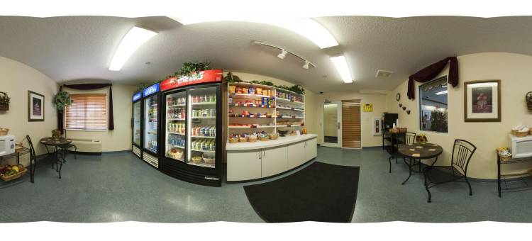 锡拉丘兹机场IHG Candlewood Suites酒店(Candlewood Suites Syracuse-Airport by IHG)图片