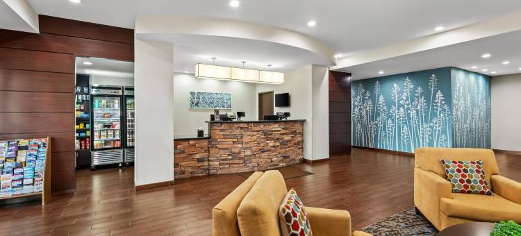 拉夫金美茵斯坦套房酒店(MainStay Suites Lufkin)图片