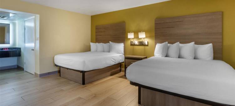 贝斯特韦斯特国际酒店集团岩石森林酒店(SureStay by Best Western Chambers Petrified Forest)图片