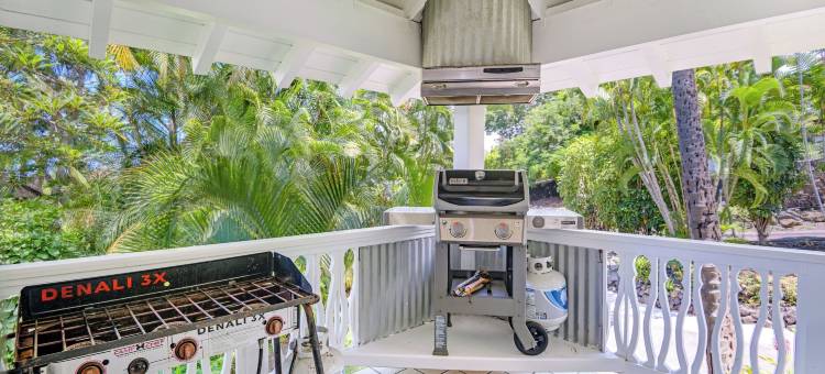 大岛静养旅馆(Big Island Retreat)图片