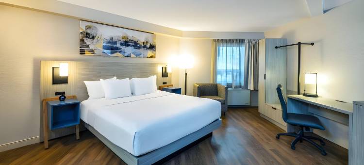 磁山舒适酒店(Comfort Inn Magnetic Hill)图片
