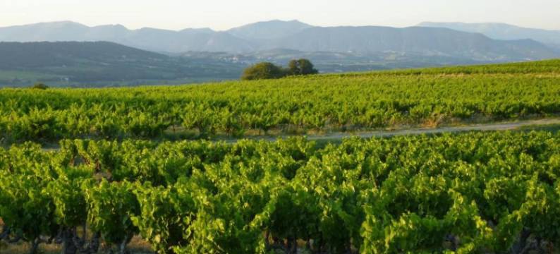 Apartment in Avignon near Palais de Papes图片