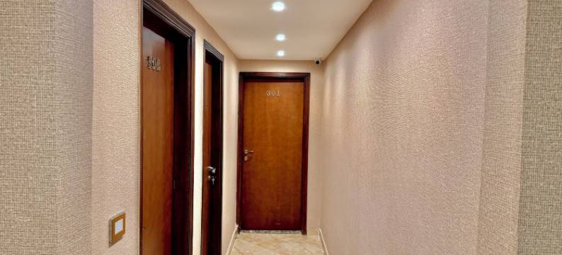 新博物馆旅馆金字塔景(New Museum ,Pyramids inn)图片