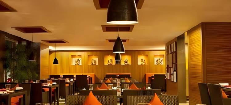 Lemon Tree Premier Hitec City Hyderabad图片