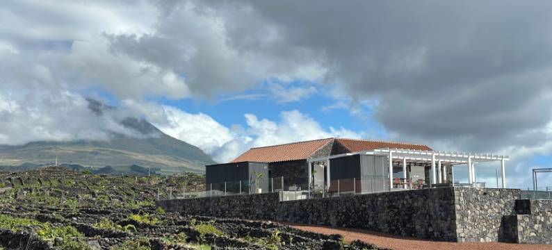 卵石葡萄园酒店-新(Vinhas do Calhau)图片