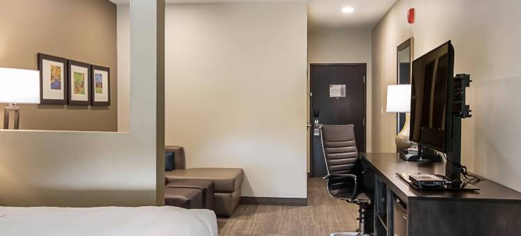 大学校园附近的伍斯特舒适套房酒店(Comfort Suites Wooster Near University Campus)图片