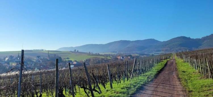 Holiday Home Alsace near Vosges Nature Park图片