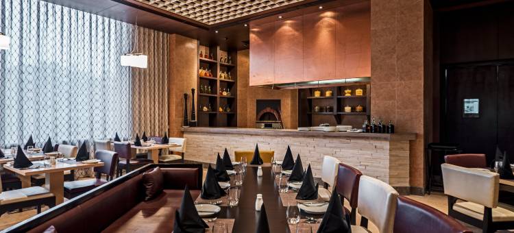 Holiday Inn 阿姆利则兰吉特大道(Holiday Inn Amritsar Ranjit Avenue)图片