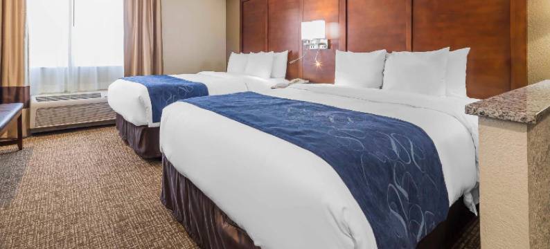 舒适套房酒店-埃尔帕索机场(Comfort Suites El Paso Airport)图片