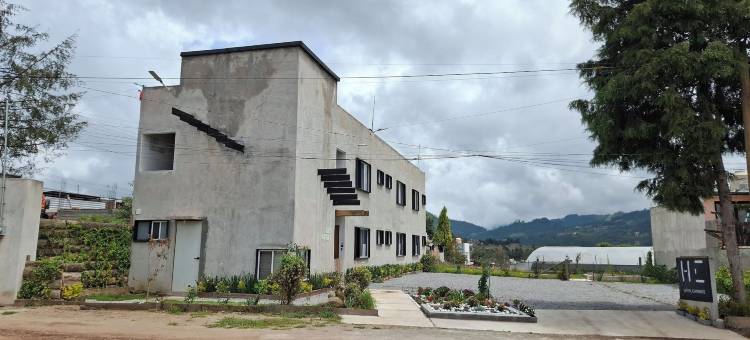 卡米诺斯酒店(Hotel Caminos)图片