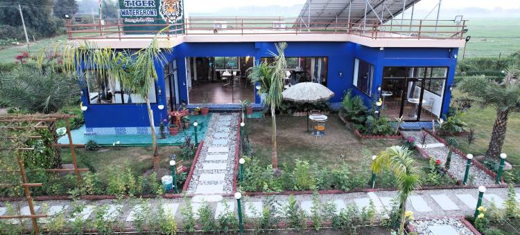 老虎滨水度假村(The Tiger Waterfront Resort)图片