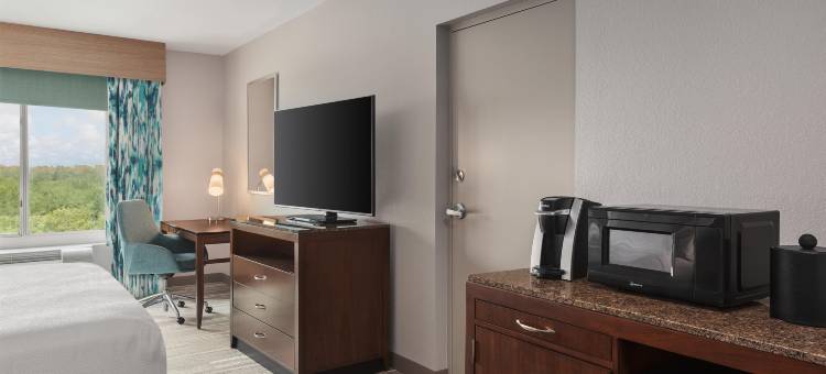 坦帕北希尔顿花园酒店(Hilton Garden Inn Tampa North)图片