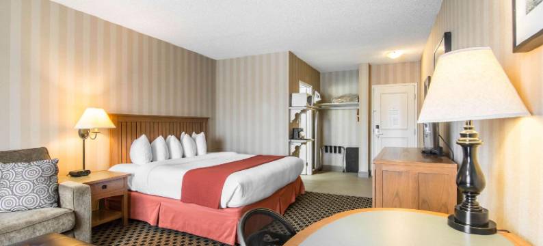 德拉姆黑勒品质酒店(Quality Hotel)图片