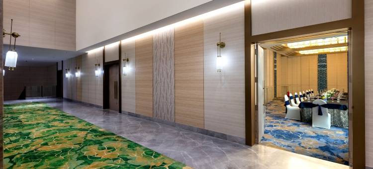 浦那辛吉瓦蒂兰花酒店(The Orchid Hotel Hinjewadi Pune)图片