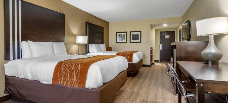 舒适酒店(Comfort Inn Near Downtown & Blue Ridge Pkwy)图片