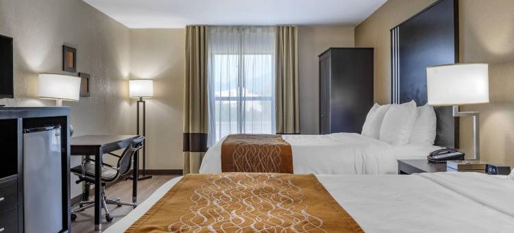 舒适酒店(Comfort Inn Near Downtown & Blue Ridge Pkwy)图片