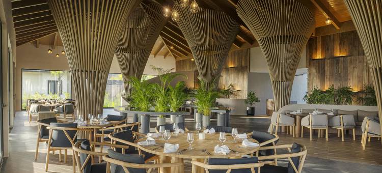 泽米米切斯蓬塔卡纳全包度假村，希尔顿Curio精选(Zemi Miches Punta Cana All-Inclusive Resort, Curio Collection by Hilton)图片