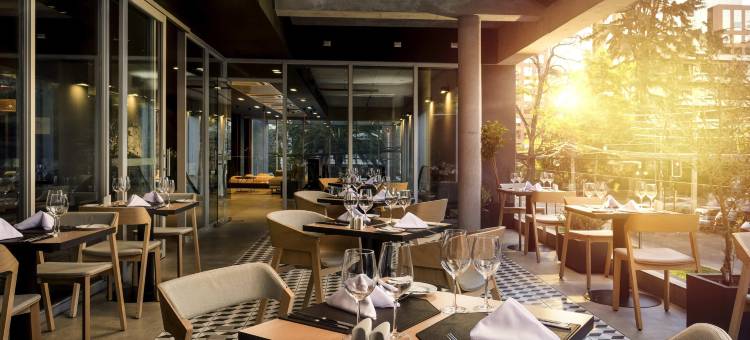 圣地亚哥普罗维登西亚诺富特酒店(Novotel Santiago Providencia)图片