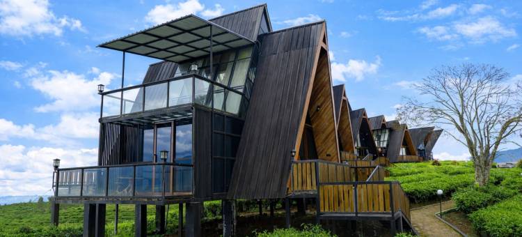 尼莫茶园度假村(Nimo Tea Resort)图片