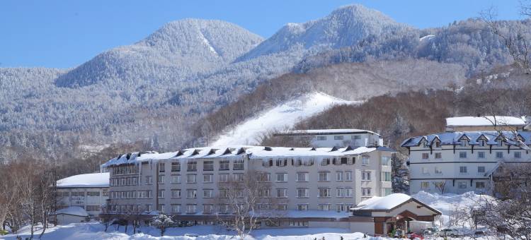 志贺湖畔酒店(Shiga Lake Hotel)图片