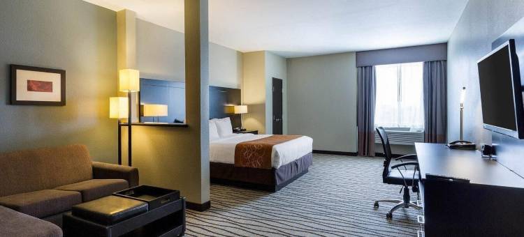 舒适套房酒店-近韦斯特彻斯8号环城路(Comfort Suites near Westchase on Beltway 8)图片