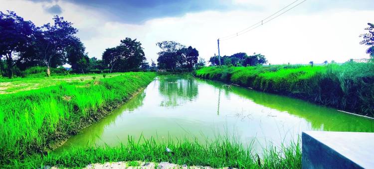 Jo'stel Kaia 农场膳宿公寓及花园咖啡厅(Jo'stel Kaia Farm Stay)图片