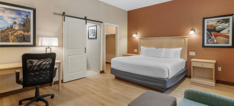 阿卡迪亚公园贝斯特韦斯特酒店(Best Western Acadia Park Inn)图片