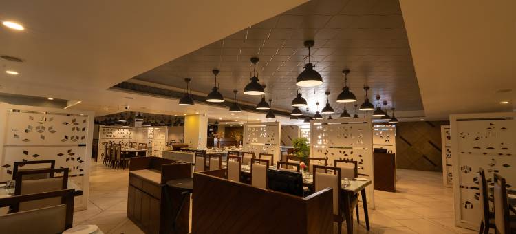 多尼尔舒适酒店(Comfort Inn Donil Vadodara)图片