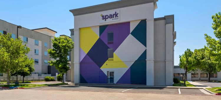 Spark by Hilton阿马里洛医疗中心(Spark by Hilton Amarillo Medical Center)图片