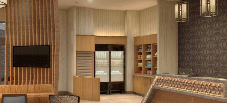 费耶特维尔-布拉格堡万豪SpringHill Suites酒店(SpringHill Suites Fayetteville Fort Liberty)图片