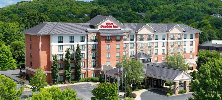富兰克林纳什维尔酷斯普林斯希尔顿花园酒店(Hilton Garden Inn Nashville/Franklin Cool Springs)图片