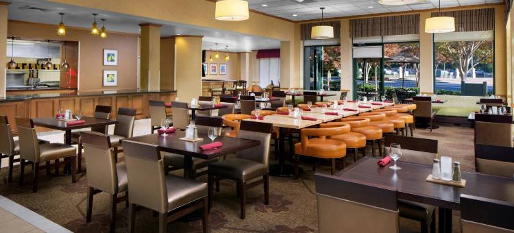 希尔顿花园酒店-亚特兰大机场千年中心(Hilton Garden Inn Atlanta Airport/Millennium Center)图片