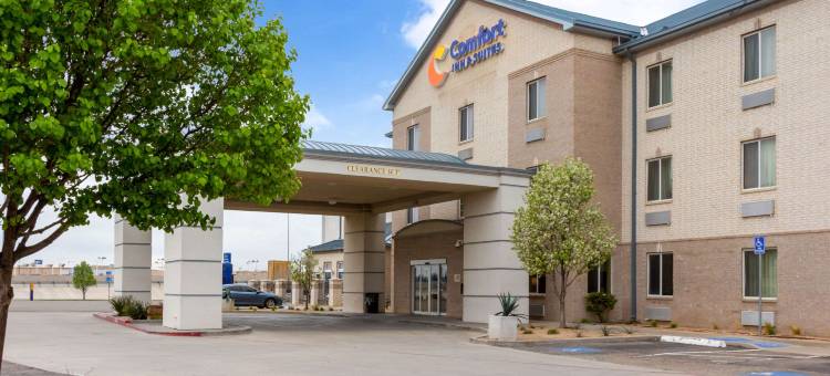 阿马里洛东部舒适套房酒店(Comfort Inn & Suites Amarillo East)图片