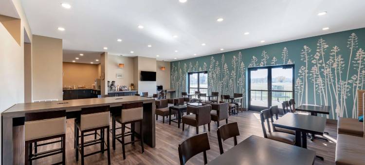 纽伯里-科瑞恩美茵斯坦套房酒店(MainStay Suites Newberry - Crane)图片