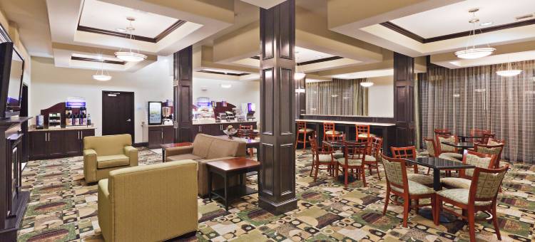 智选假日套房酒店布朗菲尔德(Holiday Inn Express & Suites Brownfield)图片