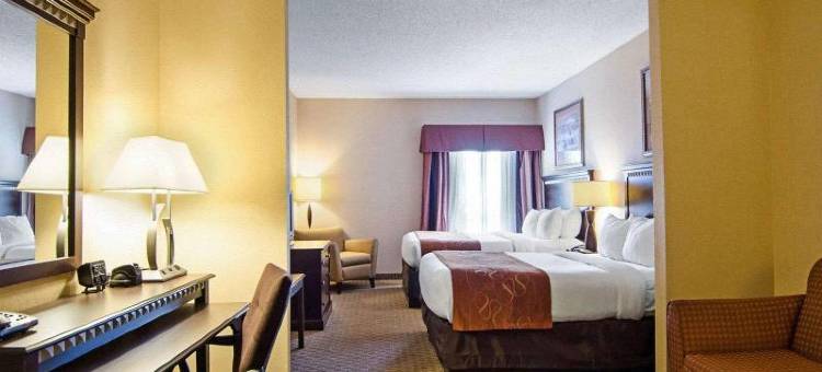 舒适套房酒店(Comfort Suites- Near University)图片