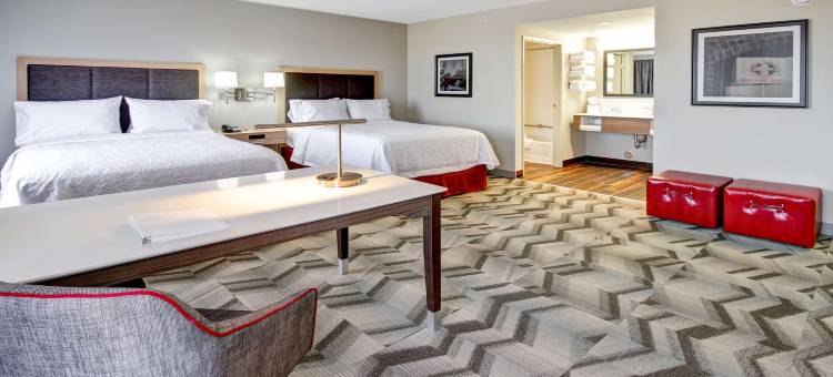 梅迪辛哈特欢朋套房酒店(Hampton Inn & Suites by Hilton Medicine Hat)图片