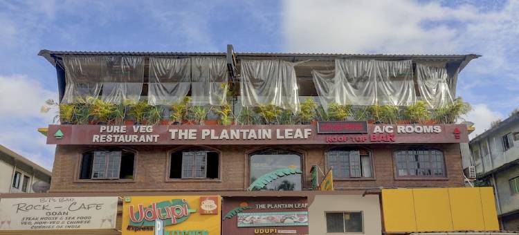 Itsy by Treebo - Plantain Leaf图片
