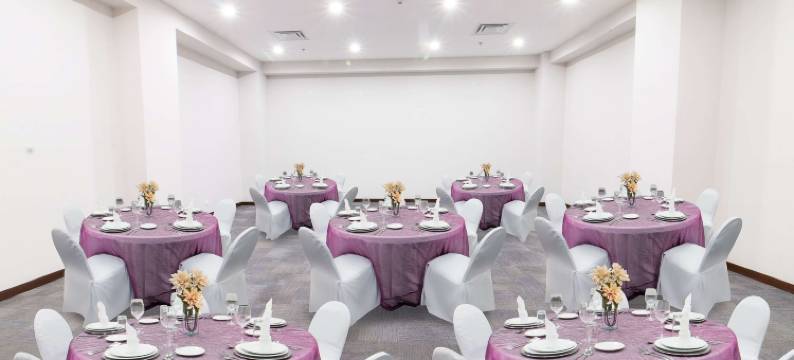 CHN Hotel Monterrey Aeropuerto, Trademark by Wyndham图片