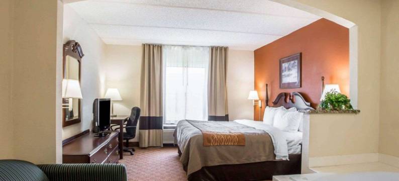 舒适酒店及套房斯帕坦堡北(Comfort Inn & Suites at I-85)图片