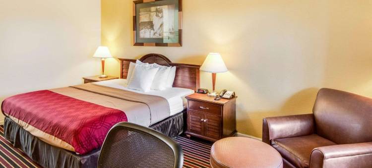 艾维罗290德威旅馆及套房(Rodeway Inn & Suites Hwy 290 NW)图片