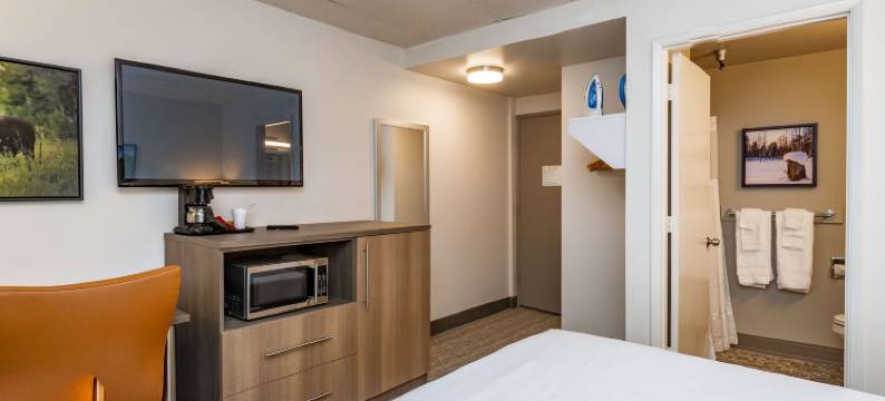 桥水酒店，温德姆Trademark精选(Bridgewater Hotel, Trademark Collection by Wyndham)图片