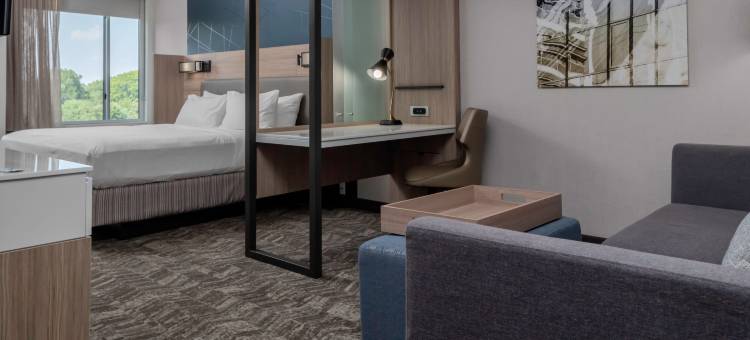 SpringHill Suites Charlotte Huntersville图片