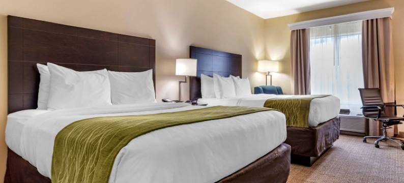 斯科特 - 西拉法叶舒适套房酒店(Comfort Inn & Suites Scott-West Lafayette)图片