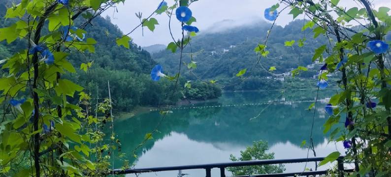 松乔苑芳姐民宿(椒石路分店)图片